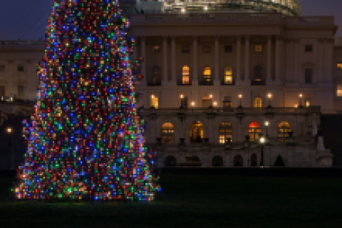 2015 Capitol Xmas tree
