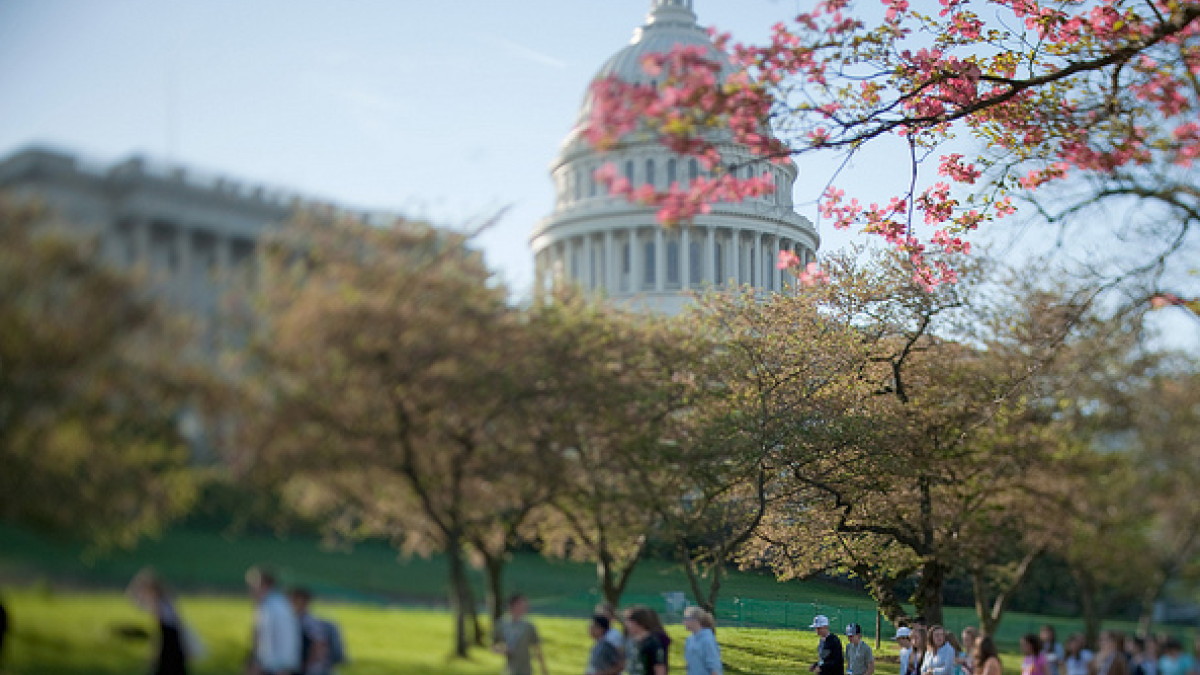 Tourists at the Capitol in Spring