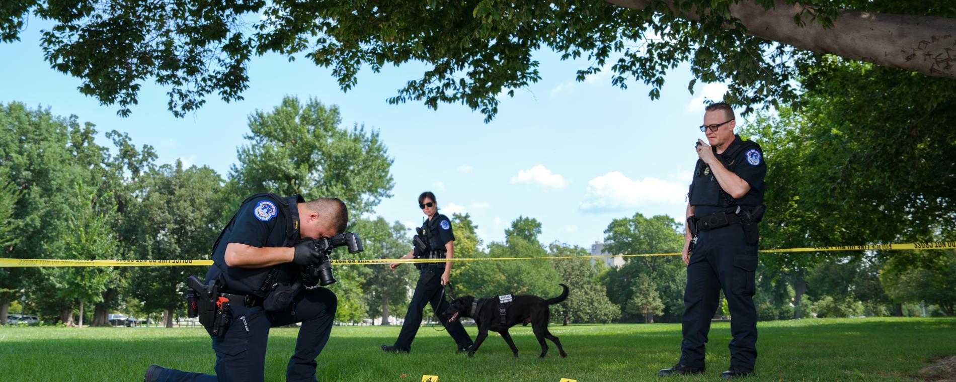 crime scene