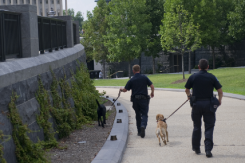 K  9 Techs.CVC 2013  cropped2 