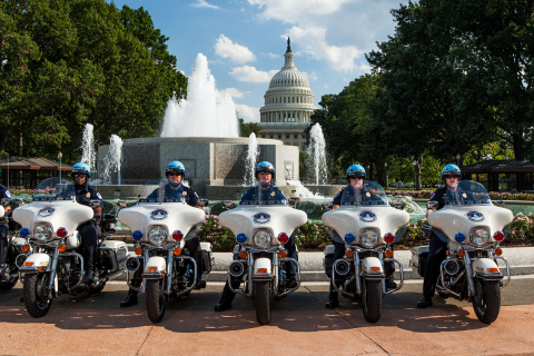 motor  units 2012  cropped 