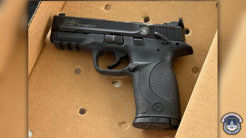 USCP Picture 2 - Gun