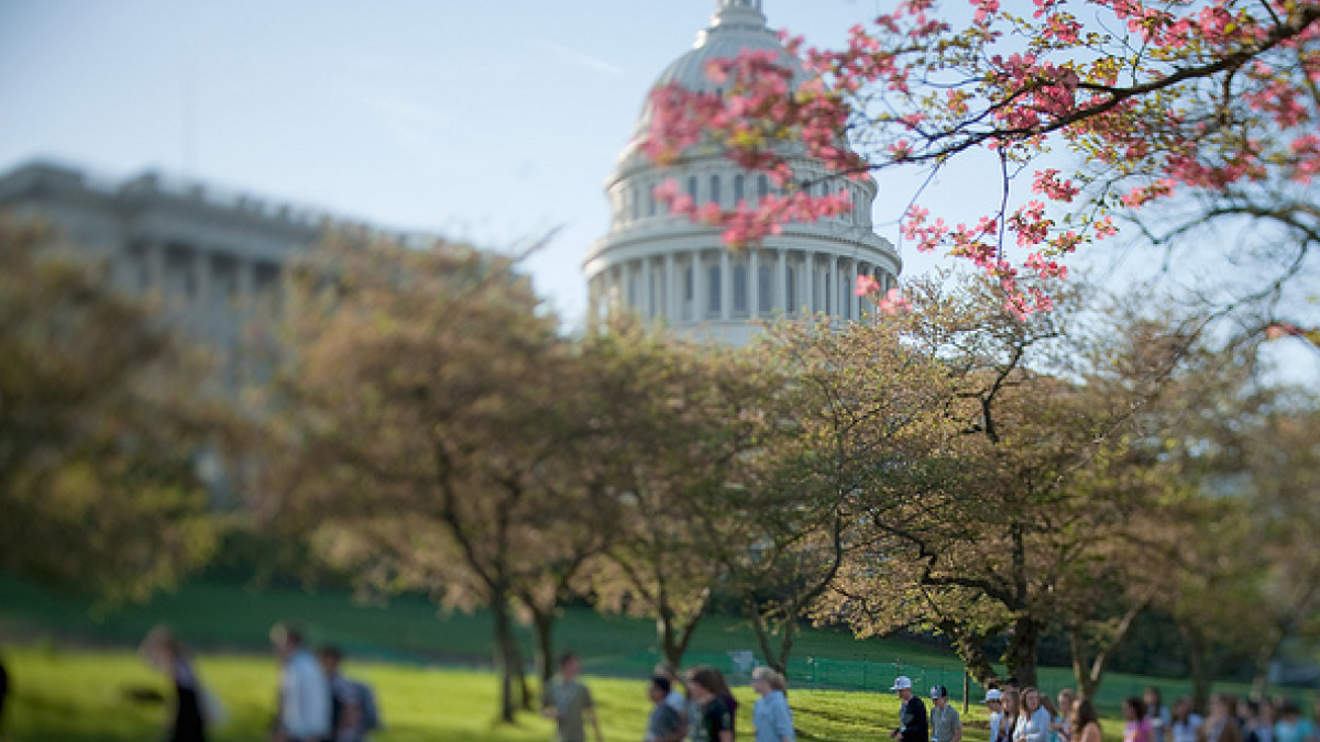 Tourists at the Capitol in Spring 