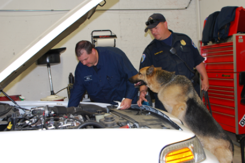 K9 and mechanic